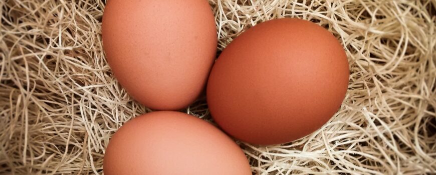Secretul pentru a obtine mai multe oua in sezonul rece
